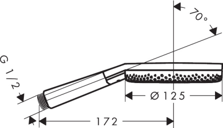 Ручной душ hansgrohe Raindance Alive Select S, 24500000, хром