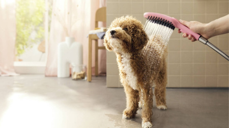 Душевой набор для собак Hansgrohe DogShower HG-PR10, розовый