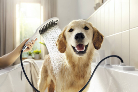 Душ для собак hansgrohe DogShower 150 3jet с массажной струей 26640700, матовый белый