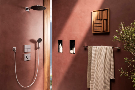 Верхний душ hansgrohe Raindance Alive S 300 2jet с кронштейном, 24540000, хром