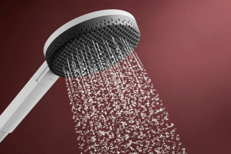 Ручной душ hansgrohe Raindance Alive Select S, 24500700, матовый белый